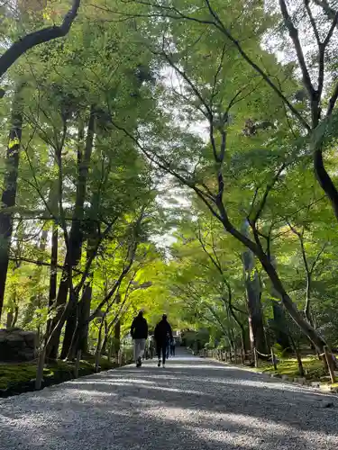 龍安寺(京都府)