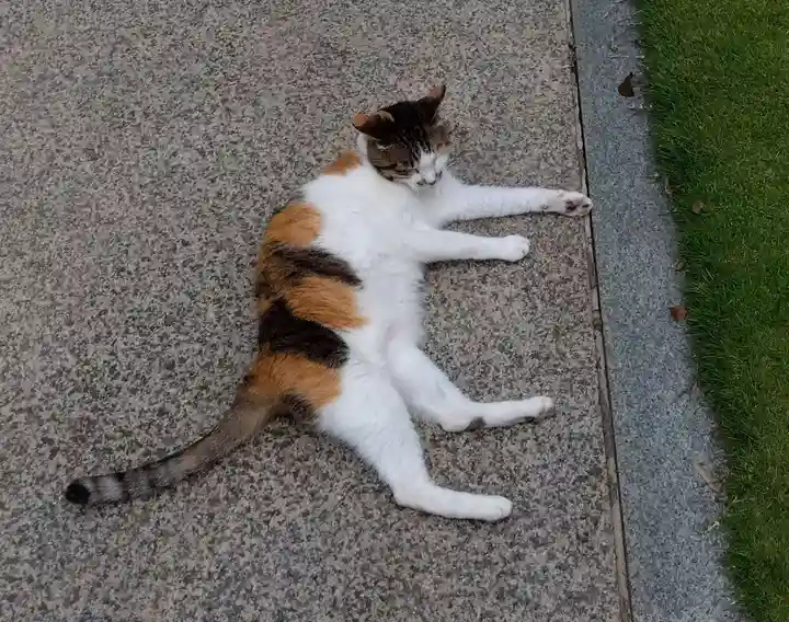 潮音寺(神奈川県)