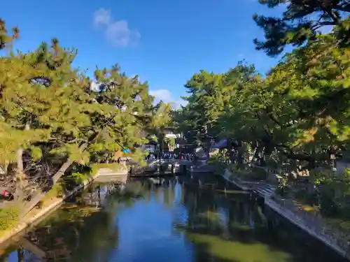 住吉大社(大阪府)