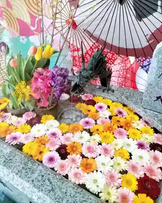 札幌諏訪神社の手水舎