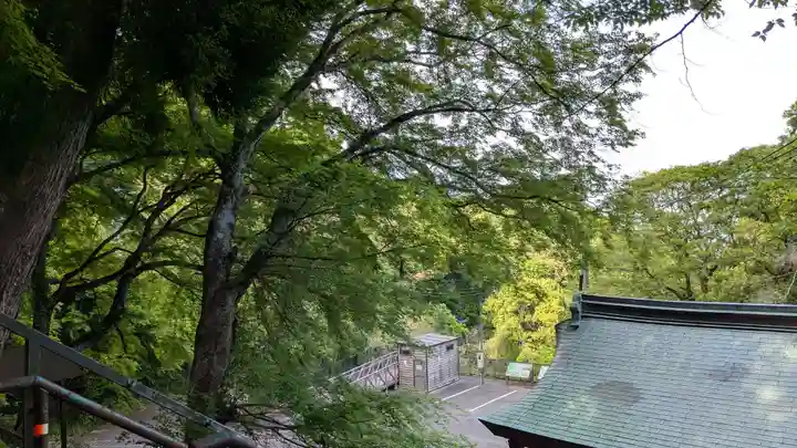 霊山寺の景色