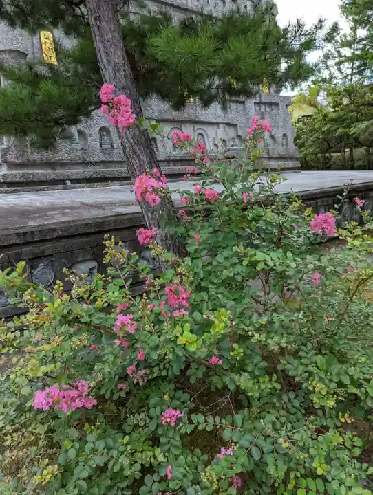 妙満寺(京都府)
