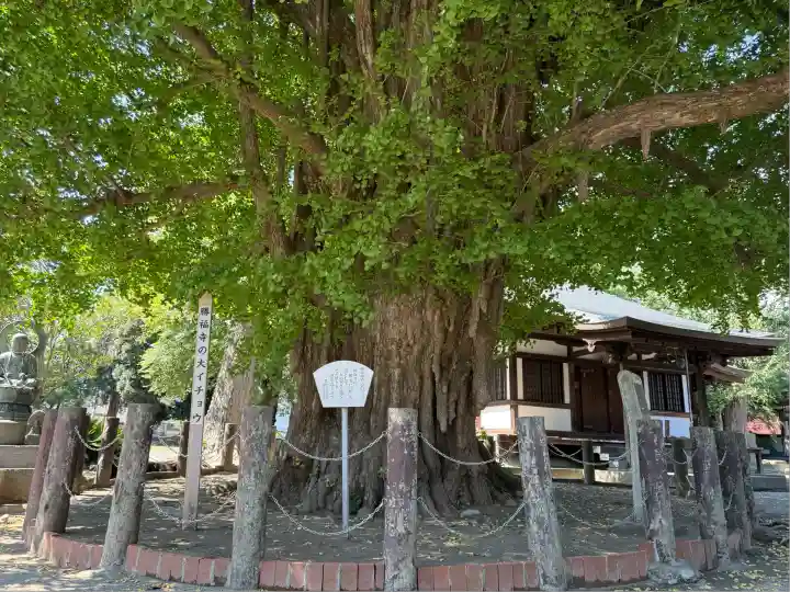 勝福寺(神奈川県)