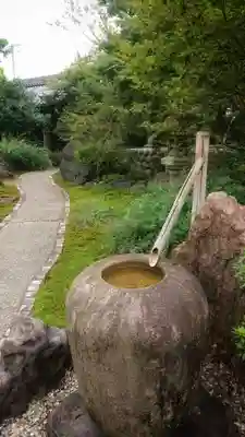 圓光禅寺(円光寺)の手水舎