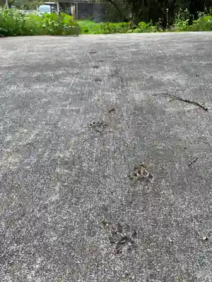 福泉寺のその他建物