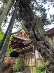 鶴岡八幡宮(神奈川県)