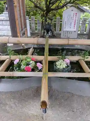 菊名神社(神奈川県)