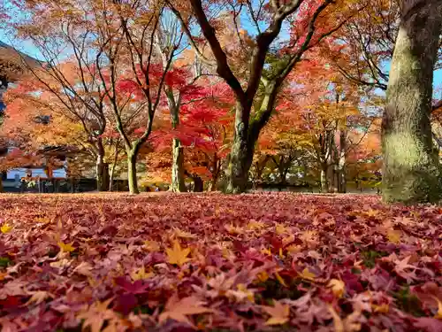 東福禅寺（東福寺）(京都府)
