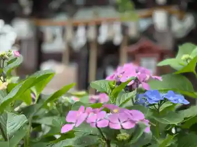 川越八幡宮(埼玉県)
