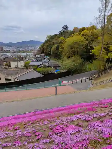 三光稲荷神社の周辺