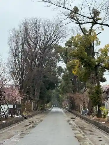 武蔵一宮氷川神社(埼玉県)