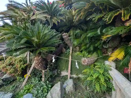 叶神社（東叶神社）(神奈川県)