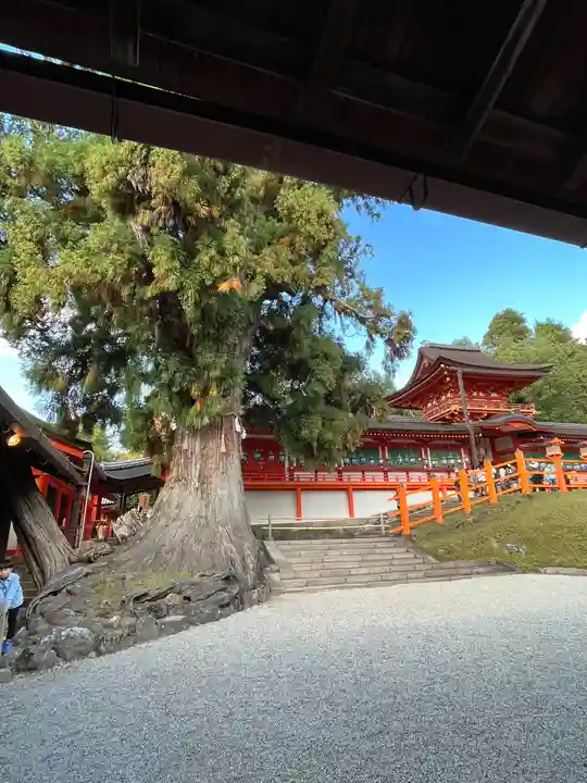 春日大社の本殿・本堂