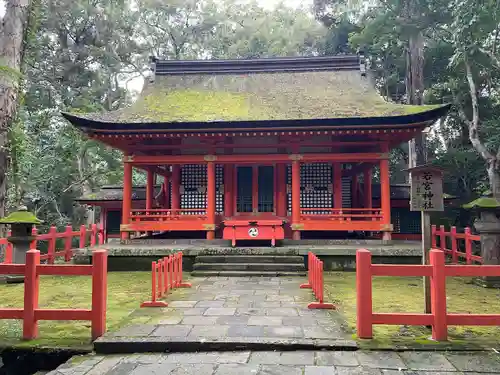 宇佐神宮(大分県)