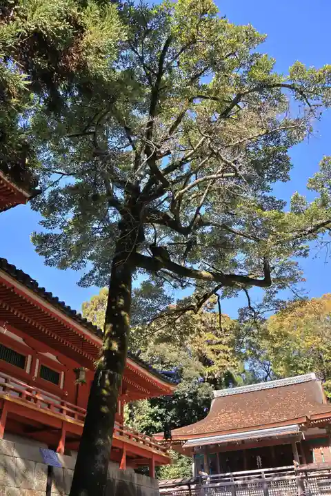 石清水八幡宮(京都府)