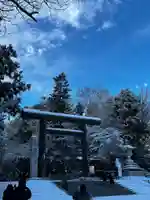 北海道神宮の鳥居