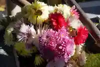 高司神社〜むすびの神の鎮まる社〜の手水舎