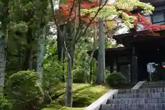 霊山寺の建物その他