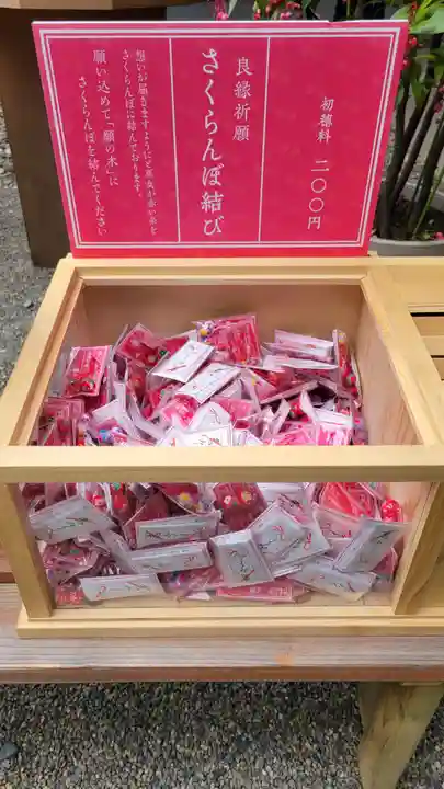 赤坂氷川神社(東京都)