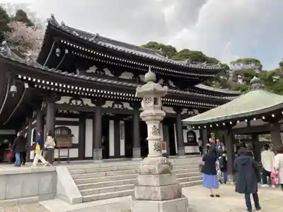 長谷寺の本殿・本堂