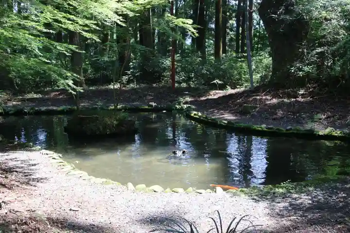 都々古別神社(八槻)(福島県)