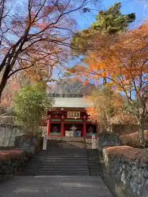 妙義神社の山門・神門