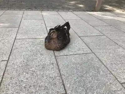 平塚八幡宮(神奈川県)