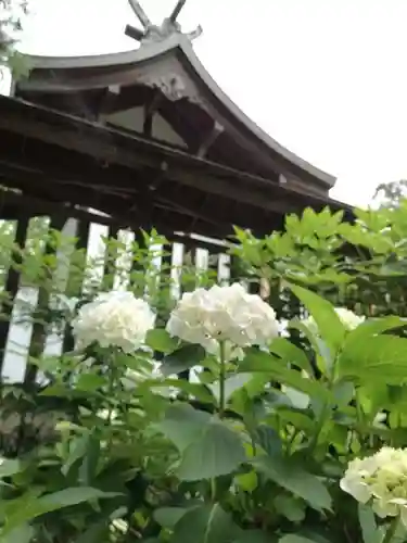 武蔵第六天神社の自然