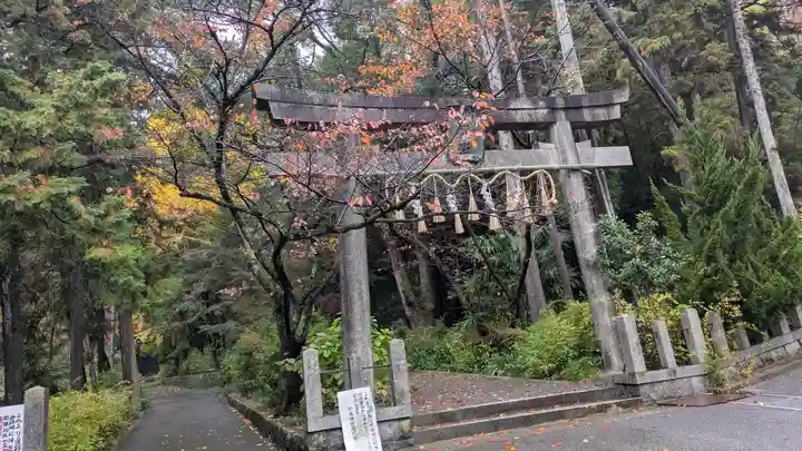 椎尾神社(大阪府)