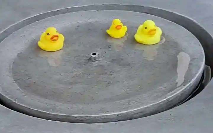 高円寺氷川神社の庭園