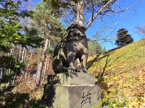 中富良野神社の狛犬