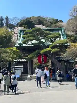 長谷寺の山門・神門