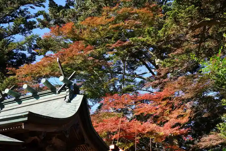 三春大神宮の景色
