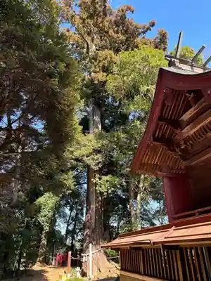 麻賀多神社(千葉県)