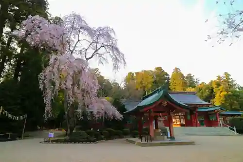 志波彦神社・鹽竈神社の建物その他