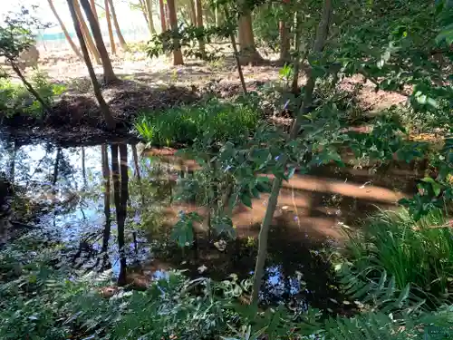 三蔵神社の庭園