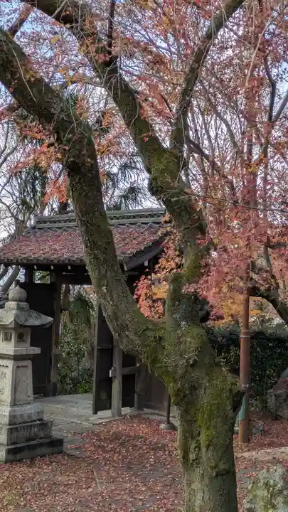 松ヶ崎大黒天 妙圓寺(妙円寺)(京都府)