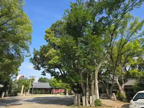 大江神社の自然