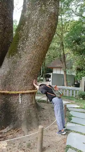 伊弉諾神宮(兵庫県)