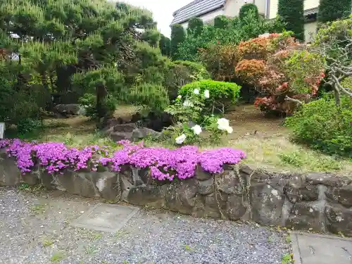 天明稲荷神社(埼玉県)