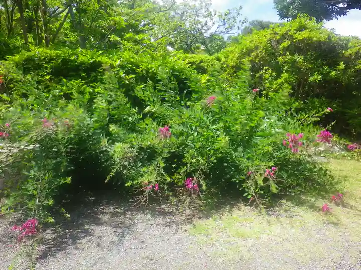 浄光明寺の自然