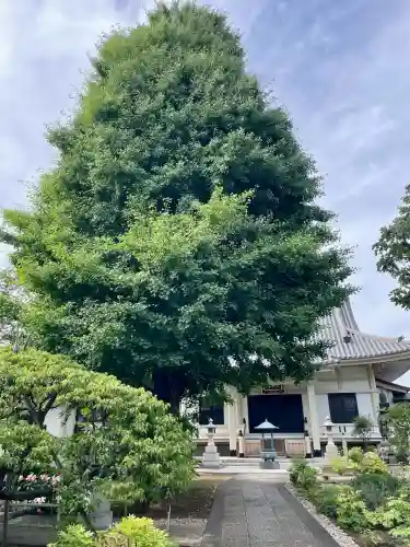 円光院(東京都)