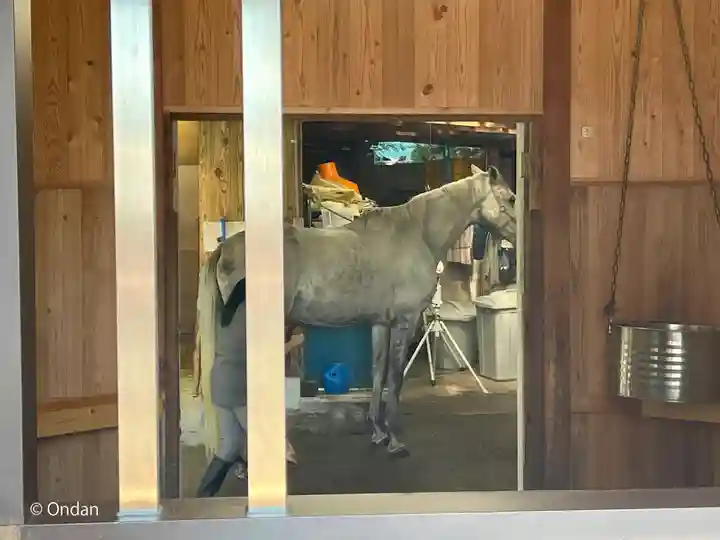 多度大社(三重県)