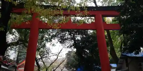 花園神社の鳥居