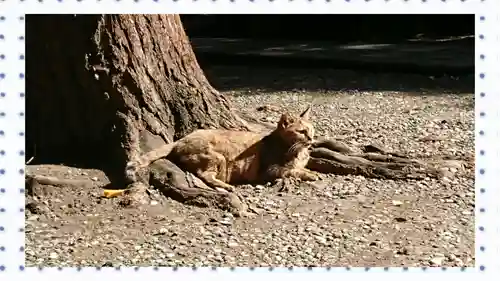 小野照崎神社(東京都)
