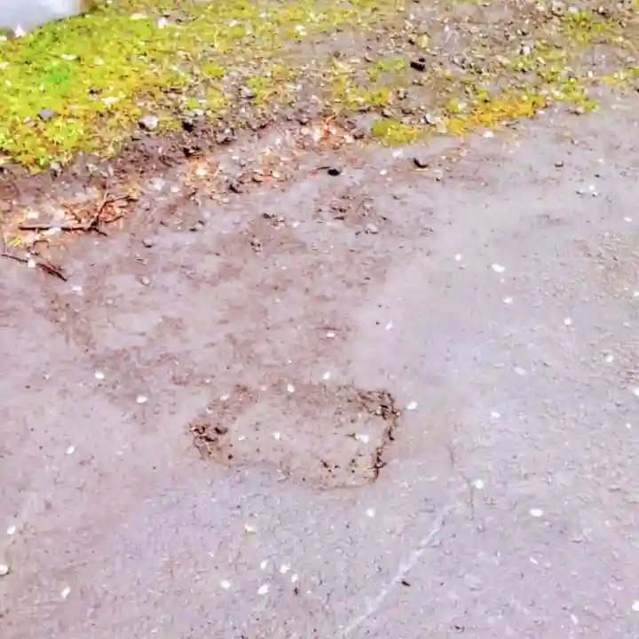 彌彦神社 (伊夜日子神社)の庭園