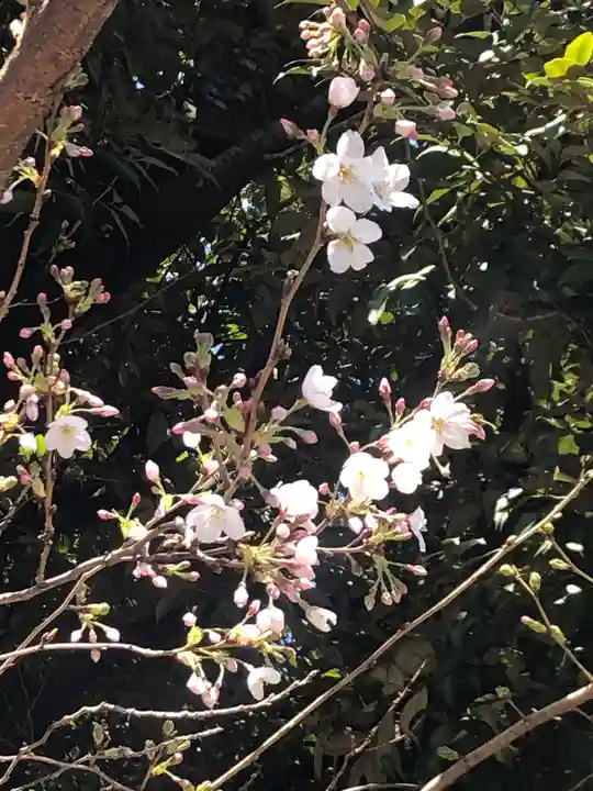 鬼子母神堂 (法明寺)の自然