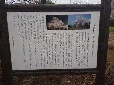 慈眼寺(埼玉県)