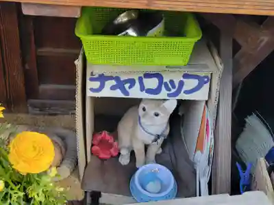 圓光寺(愛媛県)