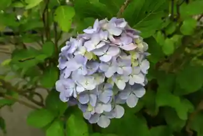 報国寺(神奈川県)
